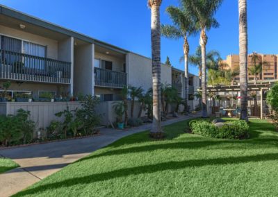 grass area at ballantyne manor