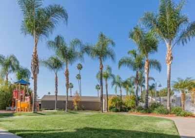 playground and grass area at citrus court