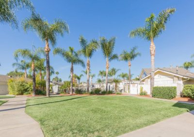 grass area with palm trees at citrus court