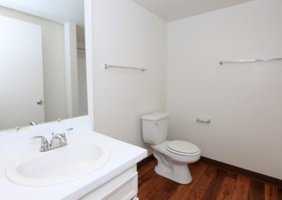 emerald vista bathroom with sink, mirror, and toilet