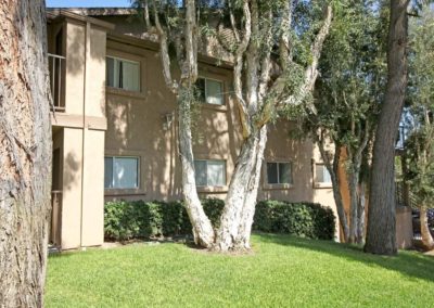 trees and exterior of euclid oaks apartments