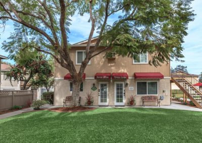 leasing office and fitness center with large tree