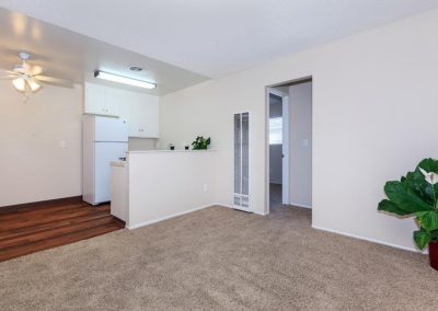 carpeted living area and kitchen