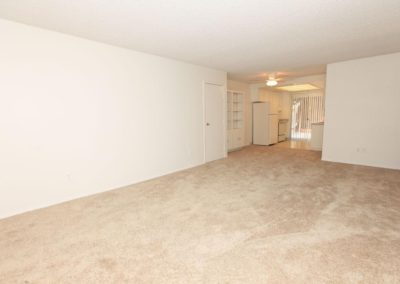 carpeted living area and kitchen at lemon gardens