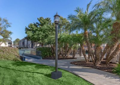 pathway through the pines apartments