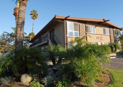 palm trees and front of ni si apartments