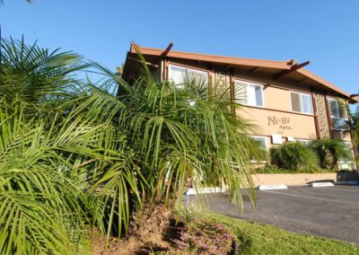 palm trees and front of ni si apartments