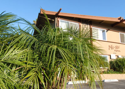 palm trees and front of ni si apartments