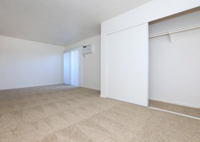 carpeted bedroom with closet at lake meadows