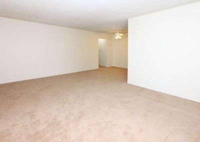 living area with carpet at villa nova apartments