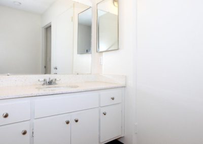 bathroom countertop and sink at wells avenue