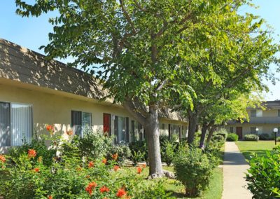 pathway with trees at windsong villas